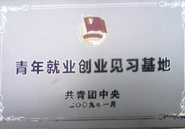 2009年1月，“青年餐廳”被“共青團中央”認證為“青年就業創業見習基地”